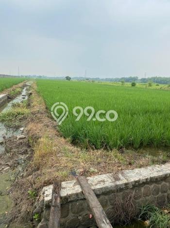 Dijual Tanah di Cirebon, Luas 74276m2 SHM Dijual Tanah di Cirebon, Luas 74276m2 SHM