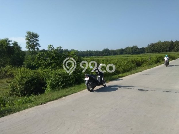 Lahan untuk Dijual di Miri Sragen Luas 10250m2 Lahan untuk Dijual di Miri Sragen Luas 10250m2