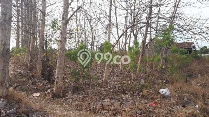 Kavling Tanah Dijual di Mantup, Lamongan, Luas 30000m2 Area Strategis Kavling Tanah Dijual di Mantup, Lamongan, Luas 30000m2 Area Strategis