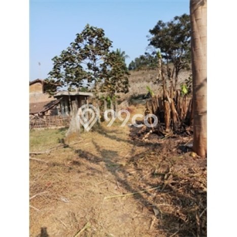 Tanah Dijual Lokasi Jatinangor Sumedang SHM Tanah Dijual Lokasi Jatinangor Sumedang SHM
