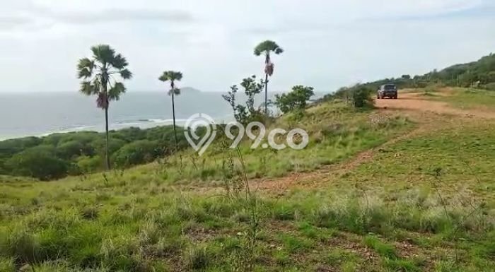 Tanah Dijual Lokasi Komodo, Manggarai Barat Luas 528m2 Legalitas Aman Tanah Dijual Lokasi Komodo, Manggarai Barat Luas 528m2 Legalitas Aman