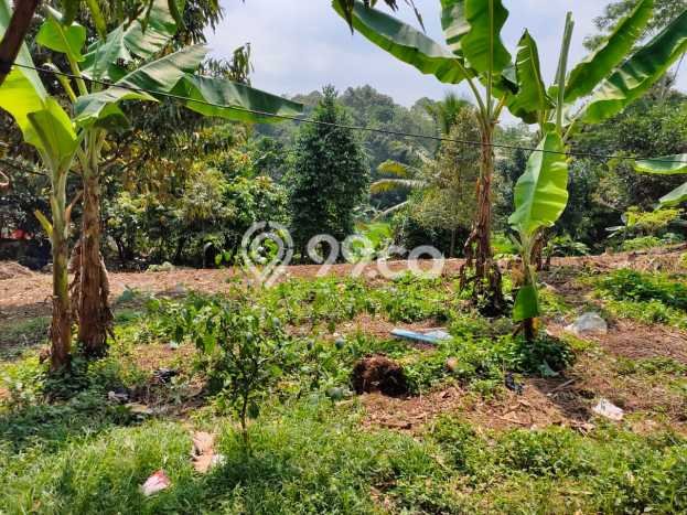 Tanah Komersial Dijual di Ciomas Serang 5781m2 Tanah Komersial Dijual di Ciomas Serang 5781m2