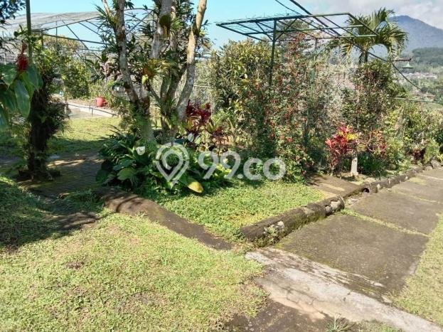 Dijual Tanah Lokasi Bedugul, Tabanan Seluas 16800m2 Dijual Tanah Lokasi Bedugul, Tabanan Seluas 16800m2