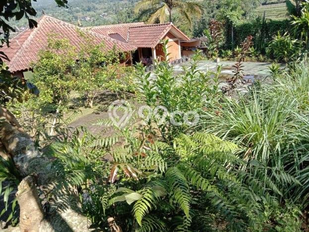 Dijual Tanah Lokasi Bedugul, Tabanan Seluas 16800m2 Dijual Tanah Lokasi Bedugul, Tabanan Seluas 16800m2
