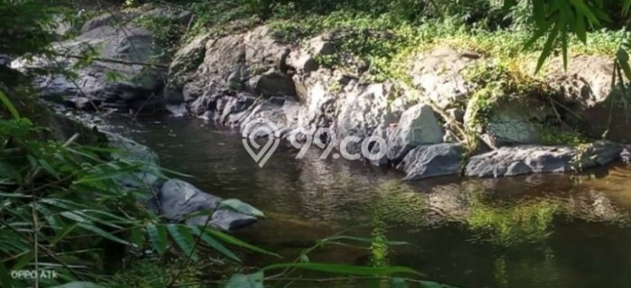 Tanah Disewa Strategis di Buleleng Luas 1800m2 Tanah Disewa Strategis di Buleleng Luas 1800m2