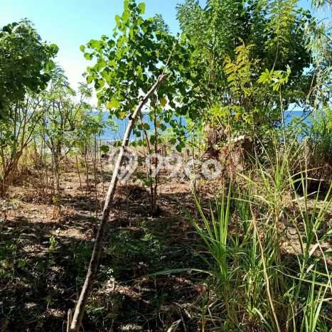 Tanah Strategis Dijual di Tianyar Karangasem 30000m2 Tanah Strategis Dijual di Tianyar Karangasem 30000m2