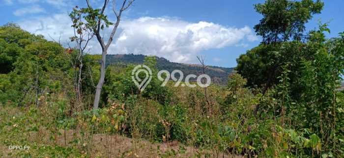 Untuk Dijual Tanah di Buleleng, Luas 46000m2 SHM Untuk Dijual Tanah di Buleleng, Luas 46000m2 SHM