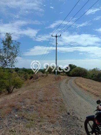 Tanah di Kubutambahan, Buleleng Luas 15000m2 Dijual Segera Tanah di Kubutambahan, Buleleng Luas 15000m2 Dijual Segera