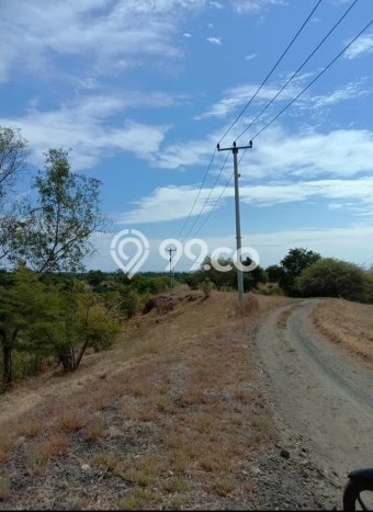 Tanah di Kubutambahan, Buleleng Luas 15000m2 Dijual Segera Tanah di Kubutambahan, Buleleng Luas 15000m2 Dijual Segera