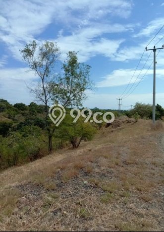 Tanah di Kubutambahan, Buleleng Luas 15000m2 Dijual Segera Tanah di Kubutambahan, Buleleng Luas 15000m2 Dijual Segera