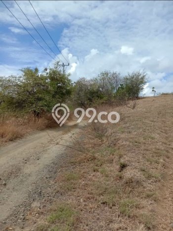 Tanah di Kubutambahan, Buleleng Luas 15000m2 Dijual Segera Tanah di Kubutambahan, Buleleng Luas 15000m2 Dijual Segera