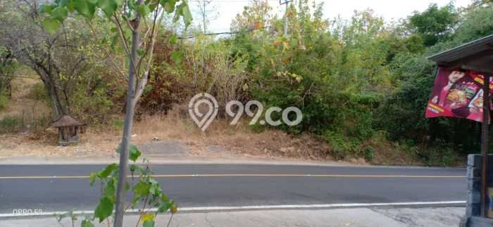 Untuk Dijual Tanah 16000m2 di Pacung, Buleleng Untuk Dijual Tanah 16000m2 di Pacung, Buleleng