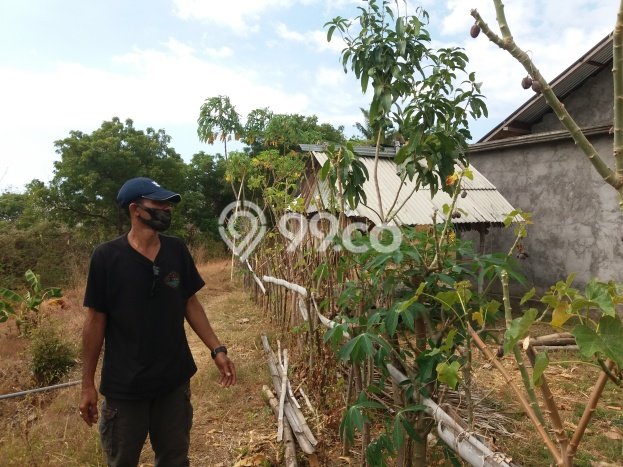 Lahan Kosong Dijual di Buleleng dengan Area 2300m2 Lahan Kosong Dijual di Buleleng dengan Area 2300m2