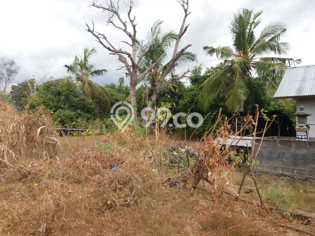 Lahan Kosong Dijual di Buleleng dengan Area 2300m2 Lahan Kosong Dijual di Buleleng dengan Area 2300m2