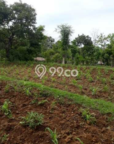 Dijual Tanah 12500m2 di Bukti, Buleleng Dijual Tanah 12500m2 di Bukti, Buleleng