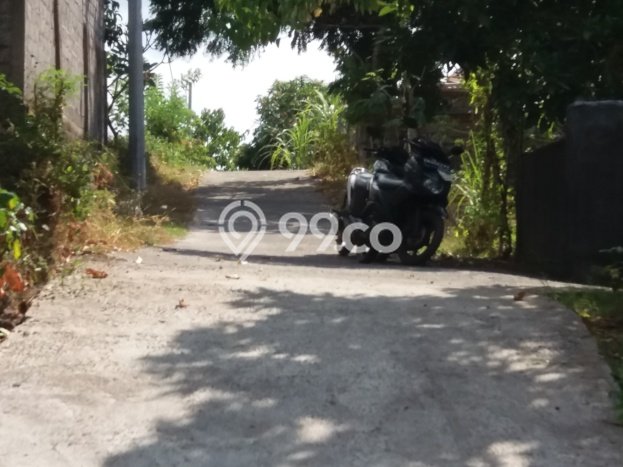 Dijual Tanah 12500m2 di Bukti, Buleleng Dijual Tanah 12500m2 di Bukti, Buleleng
