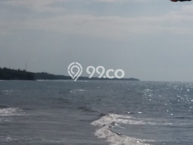 Tanah Kavling Dijual di Buleleng dengan Spesifikasi 3200m2 Tanah Kavling Dijual di Buleleng dengan Spesifikasi 3200m2