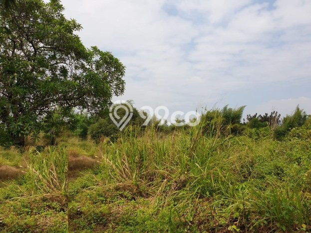 Tanah untuk Dijual di Ciputat Tangerang Selatan Luas 386m2 Tanah untuk Dijual di Ciputat Tangerang Selatan Luas 386m2