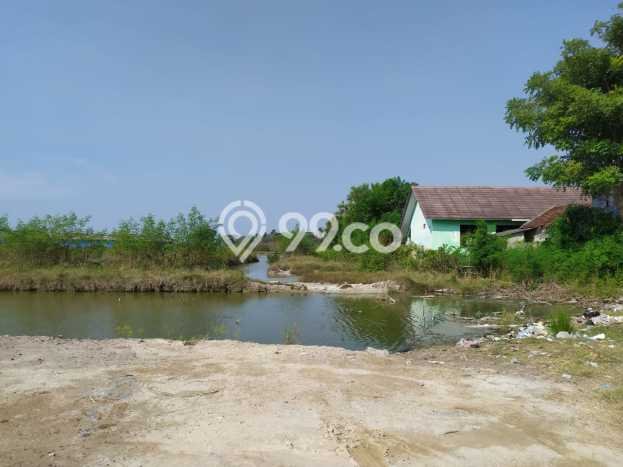 Kavling Tanah di Kasemen Dijual Luas 61750m2 Legalitas Lain-lain Kavling Tanah di Kasemen Dijual Luas 61750m2 Legalitas Lain-lain