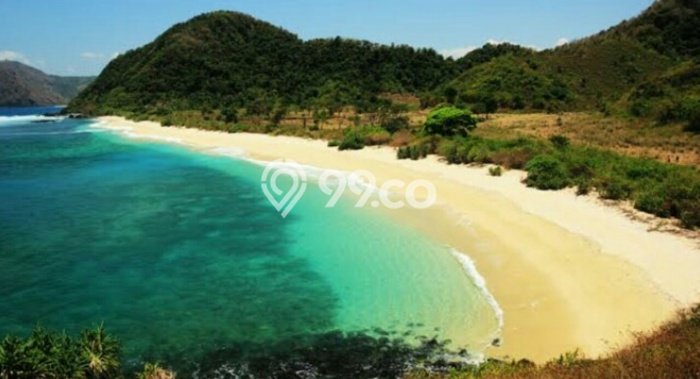 Tanah Dijual Lokasi Pujut, Lombok Tengah dengan Luas Tanah 50000m2 dan Status SHM Tanah Dijual Lokasi Pujut, Lombok Tengah dengan Luas Tanah 50000m2 dan Status SHM