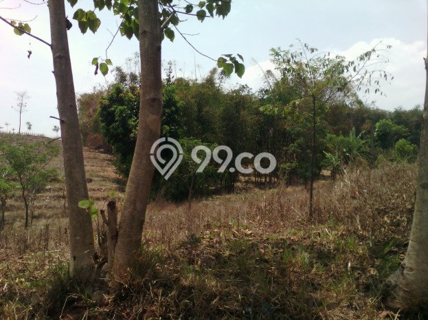 Kavling Tanah untuk Dijual di Ujungberung, Bandung, Luas 14850m2 Kavling Tanah untuk Dijual di Ujungberung, Bandung, Luas 14850m2