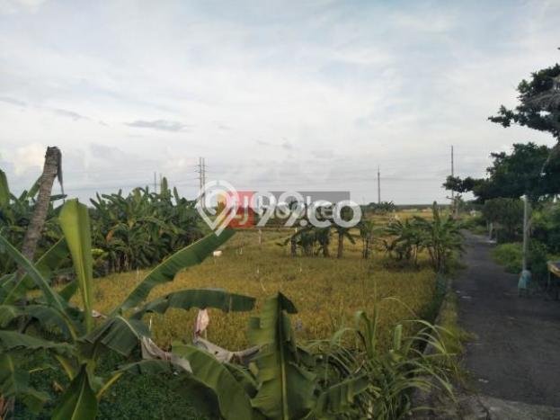 Tanah Dijual Lokasi Denpasar Timur, Denpasar Luas 9108m2 Legalitas Aman Tanah Dijual Lokasi Denpasar Timur, Denpasar Luas 9108m2 Legalitas Aman