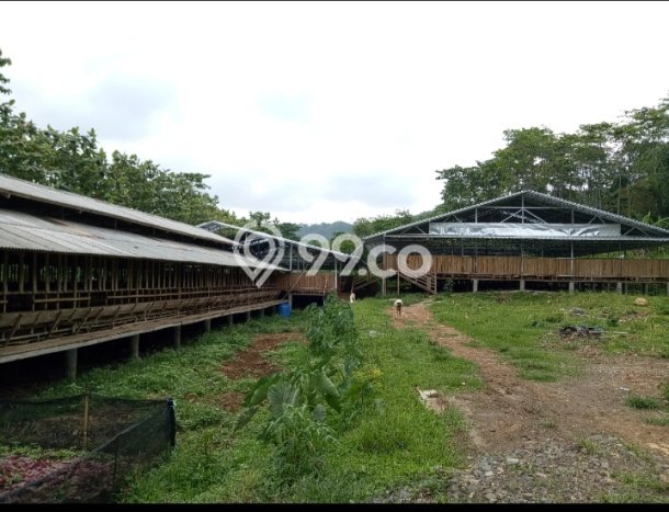 Lahan Kosong Dijual di Bogor dengan Area 9463m2 Lahan Kosong Dijual di Bogor dengan Area 9463m2