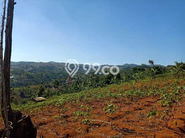 Tanah di Cimenyan, Bandung Luas 9360m2 Dijual Segera Tanah di Cimenyan, Bandung Luas 9360m2 Dijual Segera