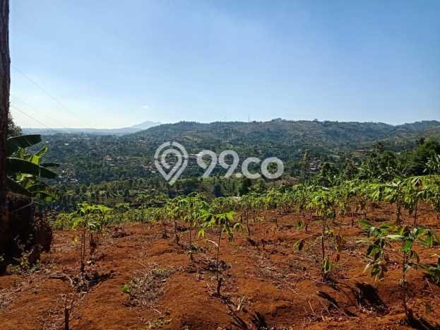Tanah di Cimenyan, Bandung Luas 9360m2 Dijual Segera Tanah di Cimenyan, Bandung Luas 9360m2 Dijual Segera