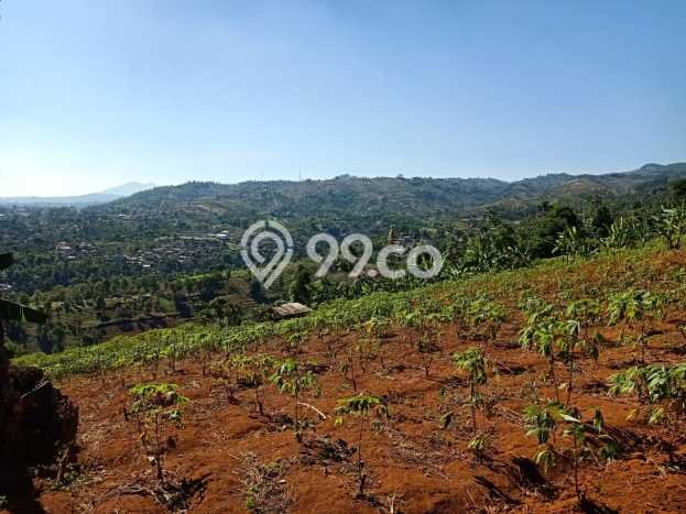 Tanah di Cimenyan, Bandung Luas 9360m2 Dijual Segera Tanah di Cimenyan, Bandung Luas 9360m2 Dijual Segera