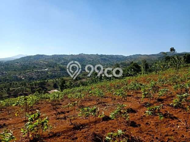 Tanah di Cimenyan, Bandung Luas 9360m2 Dijual Segera Tanah di Cimenyan, Bandung Luas 9360m2 Dijual Segera