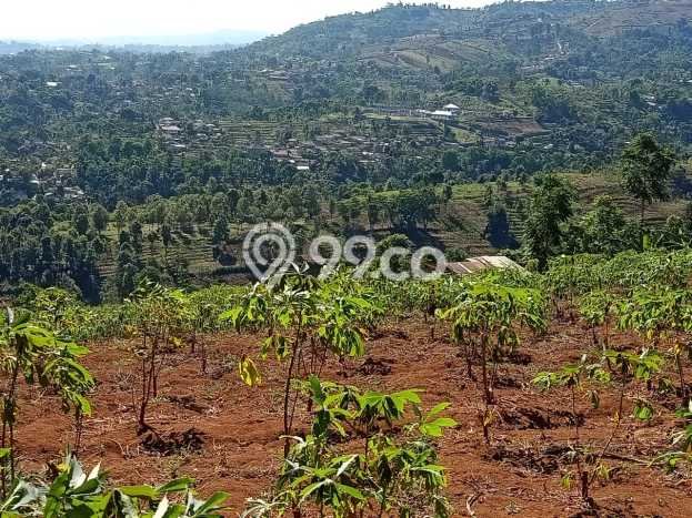 Tanah di Cimenyan, Bandung Luas 9360m2 Dijual Segera Tanah di Cimenyan, Bandung Luas 9360m2 Dijual Segera