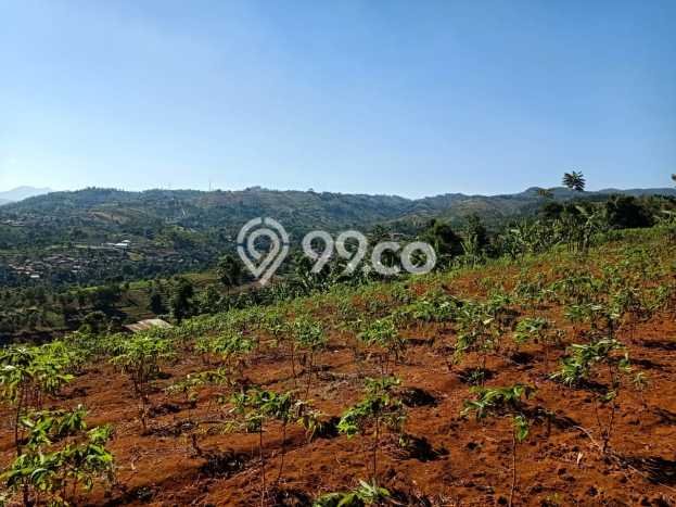 Tanah di Cimenyan, Bandung Luas 9360m2 Dijual Segera Tanah di Cimenyan, Bandung Luas 9360m2 Dijual Segera