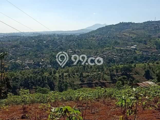 Tanah di Cimenyan, Bandung Luas 9360m2 Dijual Segera Tanah di Cimenyan, Bandung Luas 9360m2 Dijual Segera