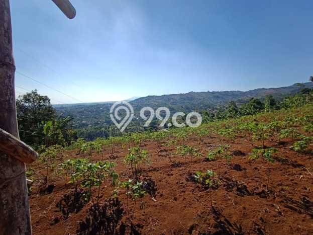Tanah di Cimenyan, Bandung Luas 9360m2 Dijual Segera Tanah di Cimenyan, Bandung Luas 9360m2 Dijual Segera