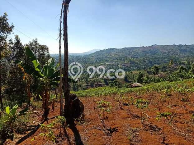 Tanah di Cimenyan, Bandung Luas 9360m2 Dijual Segera Tanah di Cimenyan, Bandung Luas 9360m2 Dijual Segera
