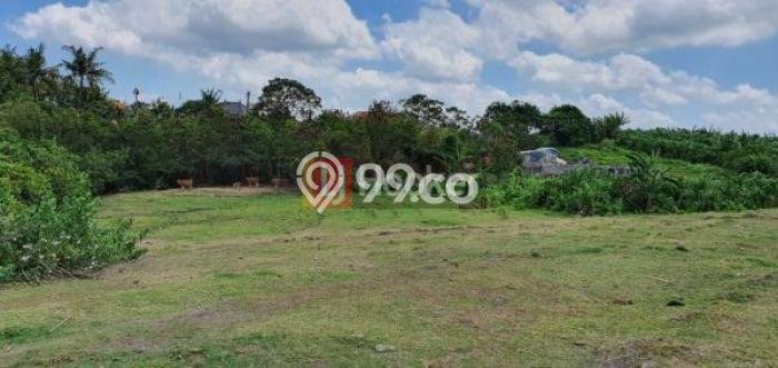 Tanah di Mengwi, Badung Luas 6600m2 Dijual Segera Tanah di Mengwi, Badung Luas 6600m2 Dijual Segera
