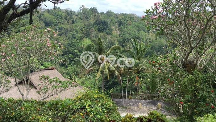 Lahan Sewa di Ubud Gianyar dengan Luas 1980m2 Lahan Sewa di Ubud Gianyar dengan Luas 1980m2