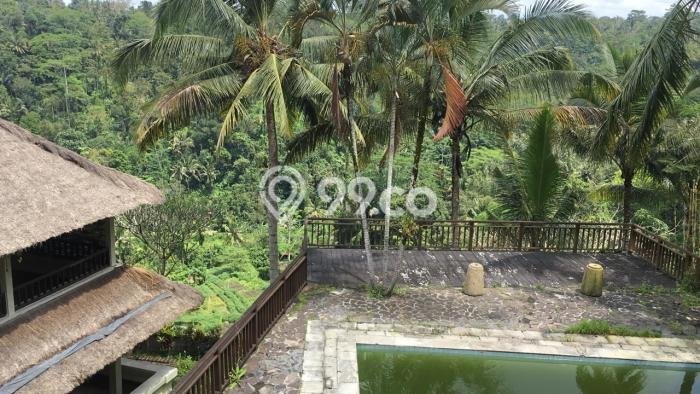 Lahan Sewa di Ubud Gianyar dengan Luas 1980m2 Lahan Sewa di Ubud Gianyar dengan Luas 1980m2