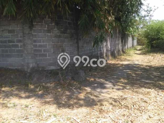 Tanah Dijual Lokasi Prambanan, Klaten Luas 179m2 Legalitas Aman Tanah Dijual Lokasi Prambanan, Klaten Luas 179m2 Legalitas Aman
