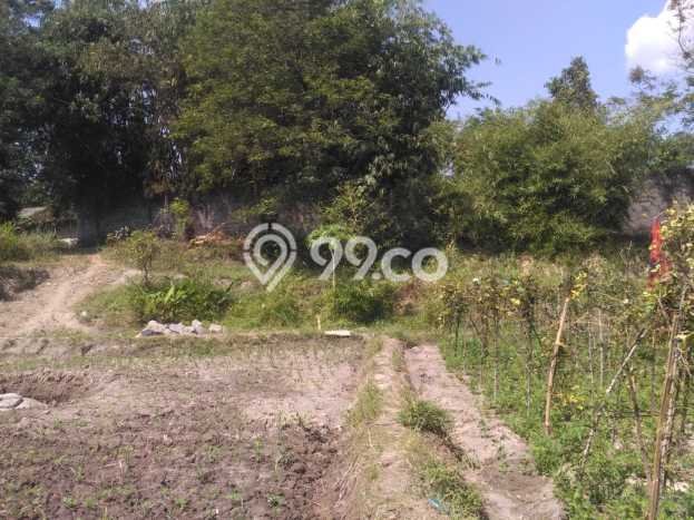 Tanah Dijual Lokasi Prambanan, Klaten Luas 179m2 Legalitas Aman Tanah Dijual Lokasi Prambanan, Klaten Luas 179m2 Legalitas Aman