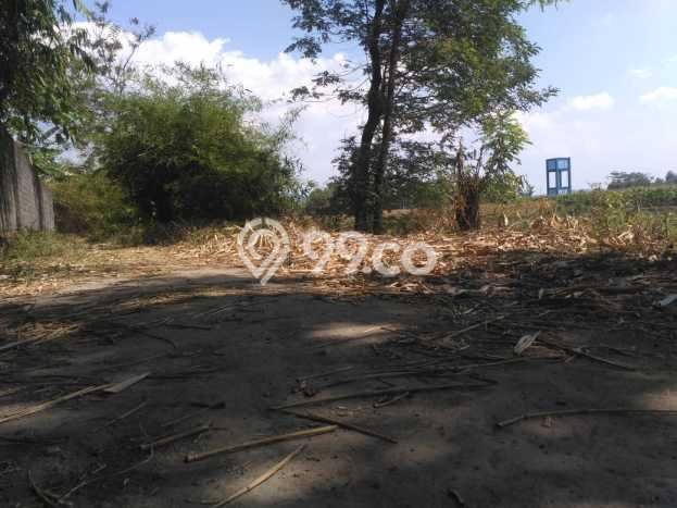 Tanah Dijual Lokasi Prambanan, Klaten Luas 179m2 Legalitas Aman Tanah Dijual Lokasi Prambanan, Klaten Luas 179m2 Legalitas Aman