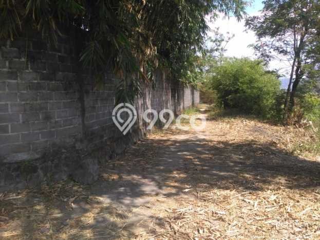 Tanah Dijual Lokasi Prambanan, Klaten Luas 179m2 Legalitas Aman Tanah Dijual Lokasi Prambanan, Klaten Luas 179m2 Legalitas Aman