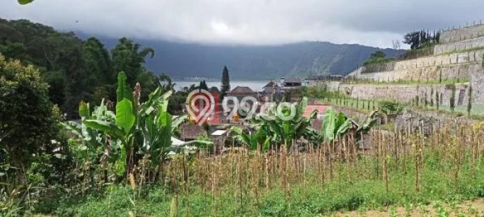 HARGA TERBAIK! Tanah Kawasan Baturiti, Luas 490m2m², Akses Strategis, Cocok untuk Hunian HARGA TERBAIK! Tanah Kawasan Baturiti, Luas 490m2m², Akses Strategis, Cocok untuk Hunian