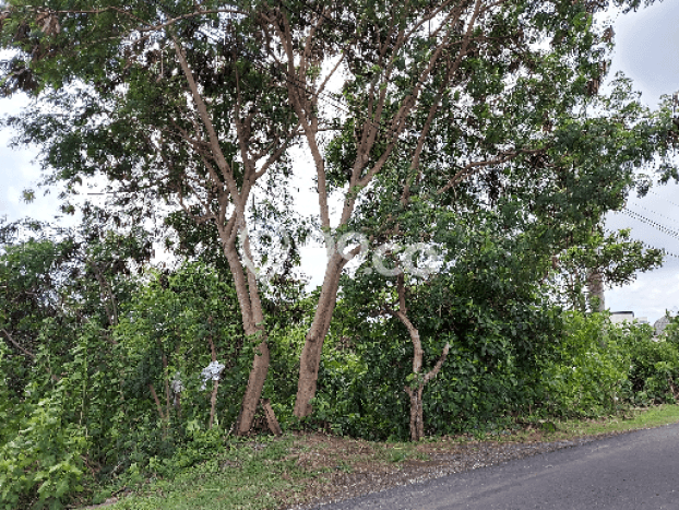 Untuk Dijual Tanah di Badung, Luas 5100m2 SHM Untuk Dijual Tanah di Badung, Luas 5100m2 SHM
