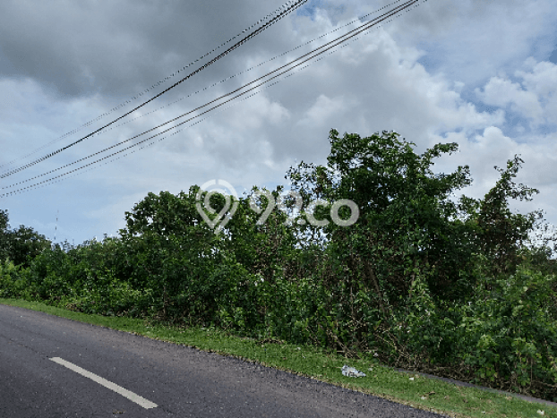 Untuk Dijual Tanah di Badung, Luas 5100m2 SHM Untuk Dijual Tanah di Badung, Luas 5100m2 SHM