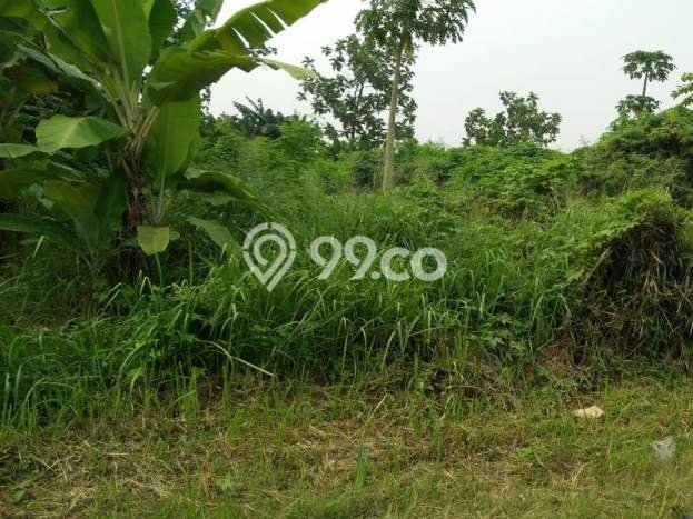 Tanah Kavling untuk Dijual di Jati Uwung Tangerang 5158m2 Tanah Kavling untuk Dijual di Jati Uwung Tangerang 5158m2