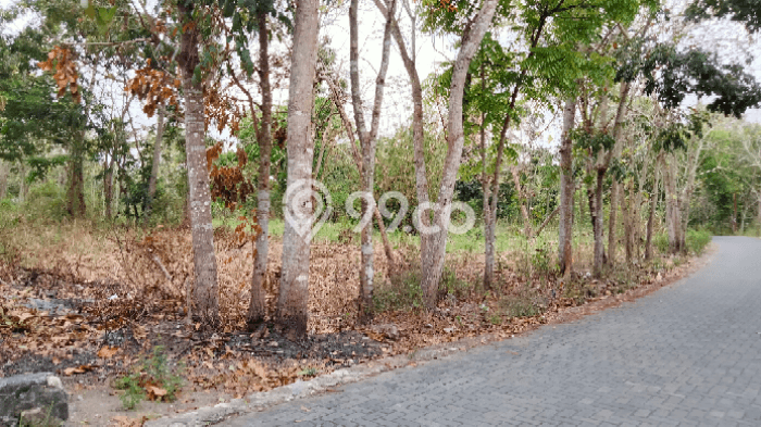 Tanah di Gamping, Sleman Luas 8282m2 Dijual Segera Tanah di Gamping, Sleman Luas 8282m2 Dijual Segera