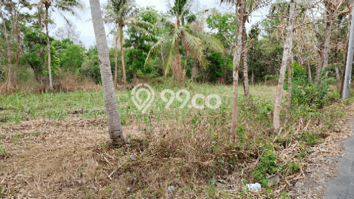 Tanah di Gamping, Sleman Luas 8282m2 Dijual Segera Tanah di Gamping, Sleman Luas 8282m2 Dijual Segera