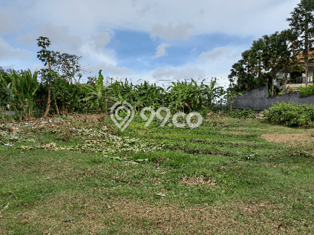Lahan Dijual Lokasi Strategis di Badung dengan Luas 619m2 Lahan Dijual Lokasi Strategis di Badung dengan Luas 619m2